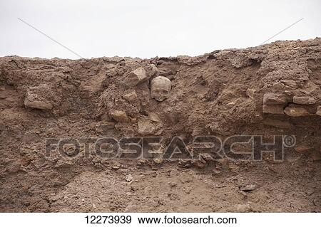 Skull of possible Mongol victim; Konye Urgench, Turkmenistan View Large Photo Image Stock Photo - Skull of possible Mongol victim; Konye Urgench, Turkmenistan. Fotosearch