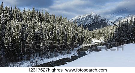 Stock Photograph - Snow covered forest and river in Jasper National Park; Alberta, Canada. Fotosearch