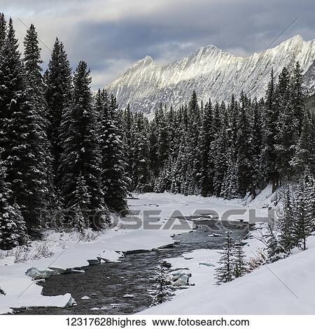 Stock Photograph - Snow covered forest and river with rugged mountain peaks in Jasper National Park; Alberta, Canada. Fotosearch