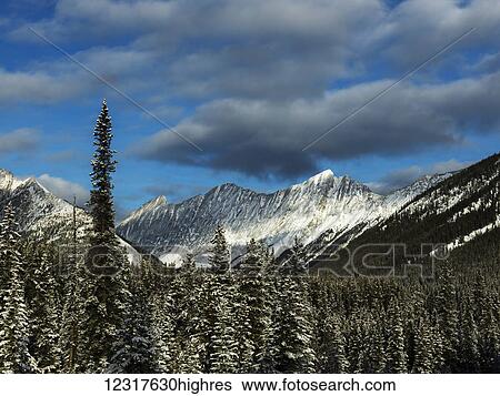 Stock Photograph - Snow covered mountains and forest in Jasper National Park; Alberta, Canada. Fotosearch
