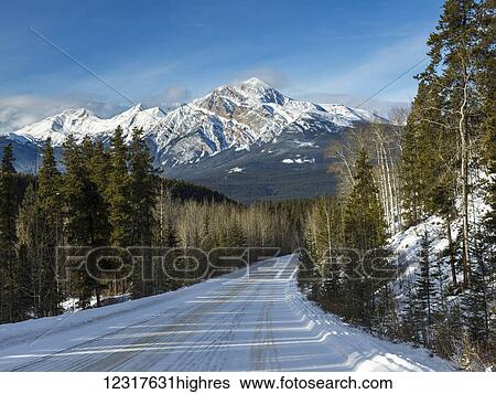 Stock Photograph - Snow covered road and landscape of mountains and forests in winter, Jasper National Park; Alberta, Canada. Fotosearch