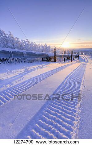 Stock Image - Snowcat tracks in the snow along the Trans-Alaska Pipeline at sunset near the Richardson Highway, Interior Alaska. Fotosearch
