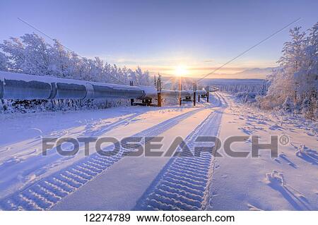 Snowcat tracks in the snow along the Trans-Alaska Pipeline at sunset near the Richardson Highway, Interior Alaska View Large Photo Image Stock Photo - Snowcat tracks in the snow along the Trans-Alaska Pipeline at sunset near the Richardson Highway, Interior Alaska. Fotosearch