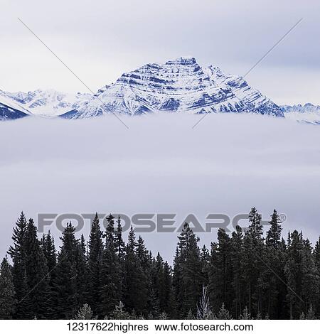Stock Photograph - Snowy mountains peaks above the clouds with a forest in the foreground, Jasper National Park; Alberta, Canada. Fotosearch