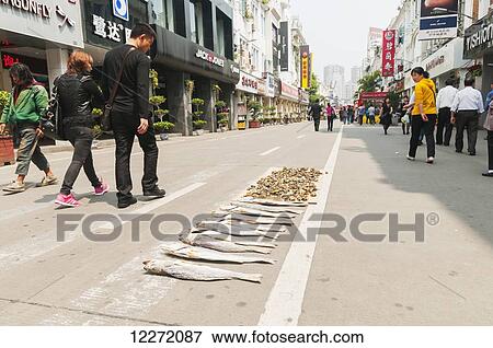 Stock Photo - Some seafood drying in the middle of the street; Xiamen, Fujian Province, China. Fotosearch