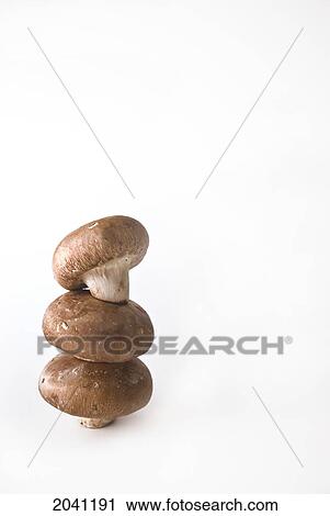 Stacked Mushrooms On A White Background View Large Photo Image Stock Image - Stacked Mushrooms On A White Background. Fotosearch