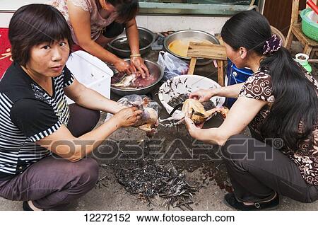 Staff from a local restaurant cleaning three pheasants for cooking in front of the entrance in a small village near Wuyuan; Jiangxi province, China View Large Photo Image Stock Image - Staff from a local restaurant cleaning three pheasants for cooking in front of the entrance in a small village near Wuyuan; Jiangxi province, China. Fotosearch