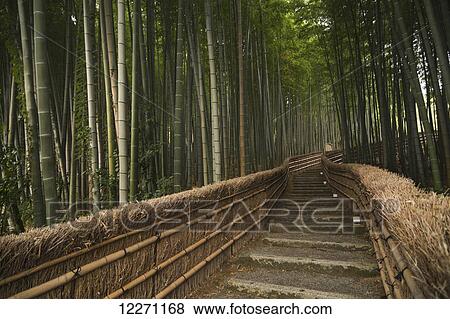Stock Photo - Stone pathway in bamboo forest; Arashiyama, Kyoto, Japan. Fotosearch
