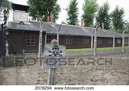 Stop Sign, Auschwitz Concentration Camp Perimeter, Oswiecim, Malopolska, Poland View Large Photo Image Picture - Stop Sign, Auschwitz Concentration Camp Perimeter, Oswiecim, Malopolska, Poland. Fotosearch