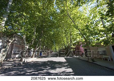Street Scene, Colonia, Uruguay View Large Photo Image Stock Photography - Street Scene, Colonia, Uruguay. Fotosearch