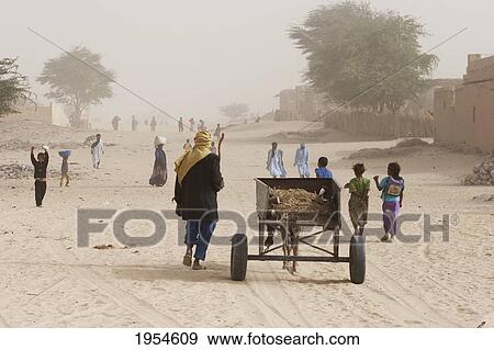 Street Scene, in the outskirts of Timbuktu, Mali View Large Photo Image Stock Photo - Street Scene, in the outskirts of Timbuktu, Mali. Fotosearch