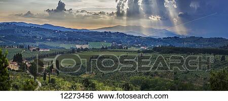 Sunbeams through the clouds over vineyards; Capanuccia, Florence, Italy View Large Photo Image Stock Photograph - Sunbeams through the clouds over vineyards; Capanuccia, Florence, Italy. Fotosearch