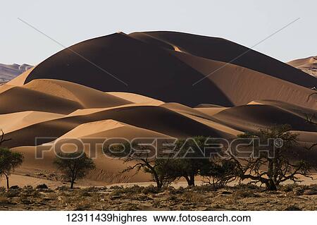 Stock Photograph - Sunrise light illuminate the large, red sand dunes in Sossusvlei which is part of the Namib desert; Namibia. Fotosearch