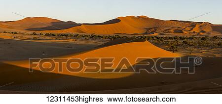 Stock Photograph - Sunrise light illuminate the large, red sand dunes in Sossusvlei which is part of the Namib desert; Namibia. Fotosearch