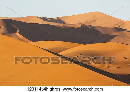 Stock Photograph - Sunrise light illuminate the large, red sand dunes in Sossusvlei which is part of the Namib desert; Namibia. Fotosearch