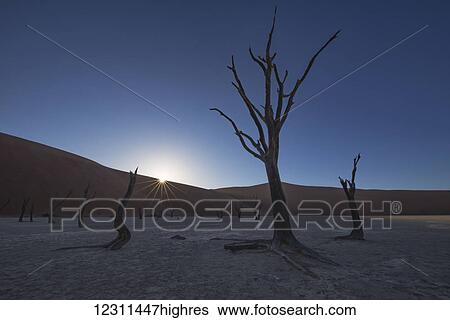 Sunrise over the Deadvlei, deep within Sossusvlei; Namibia View Large Photo Image Stock Photograph - Sunrise over the Deadvlei, deep within Sossusvlei; Namibia. Fotosearch