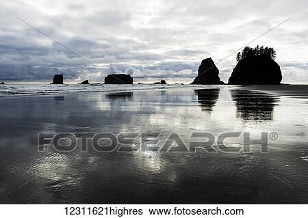 Stock Photograph - Sunset on Second Beach, Olympic National Park; Washington, United States of America. Fotosearch