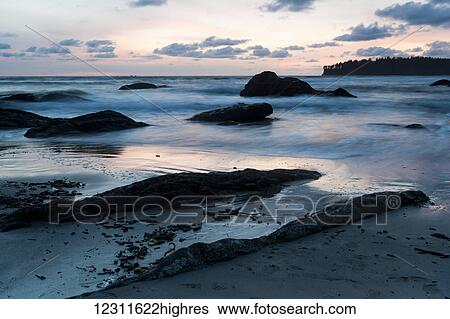 Sunset on Second Beach, Olympic National Park; Washington, United States of America View Large Photo Image Stock Photograph - Sunset on Second Beach, Olympic National Park; Washington, United States of America. Fotosearch