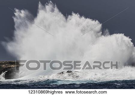 Stock Photograph - Swell induced wave crashing on the Kona coast; Kona, Island of Hawaii, Hawaii, United States of America. Fotosearch