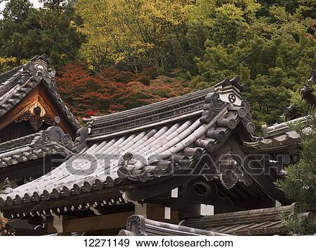 Stock Photo - Temple rooftop with red maple trees behind; Kyoto, Japan. Fotosearch