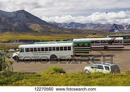 Stock Image - The Denali Hybrid Bus is parked with other park shuttle and lodge buses at Eielson Visitor Center in Denali National Park, Interior Alaska, Summer, USA.. Fotosearch