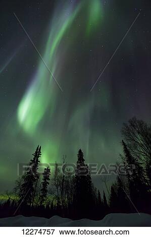 Stock Photo - The green glow of the Aurora Borealis (Northern Lights) from the Petersville Road, Southcentral Alaska, Winter. Fotosearch