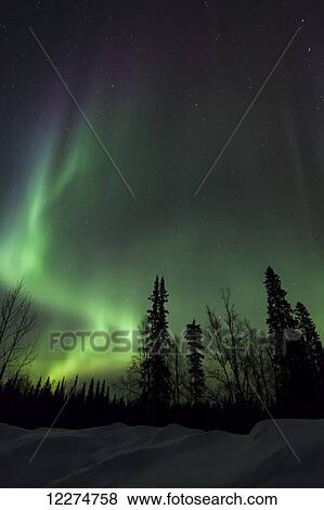 Stock Photo - The green glow of the Aurora Borealis (Northern Lights) from the Petersville Road, Southcentral Alaska, Winter. Fotosearch