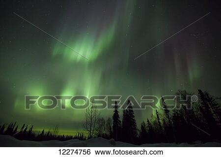 Stock Photograph - The green glow of the Aurora Borealis (Northern Lights) from the Petersville Road, Southcentral Alaska, Winter. Fotosearch
