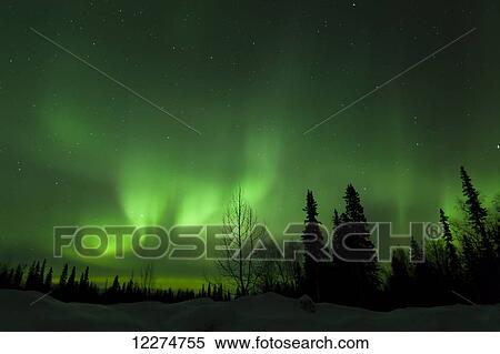 Stock Photography - The green glow of the Aurora Borealis (Northern Lights) from the Petersville Road, Southcentral Alaska, Winter. Fotosearch