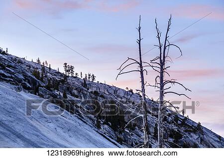 Stock Photograph - The high country in Yosemite National Park; California, United States of America. Fotosearch