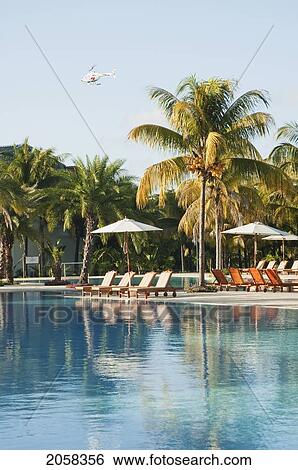 Stock Photograph - The Plantation, Pamplemousses, Mauritius. Fotosearch