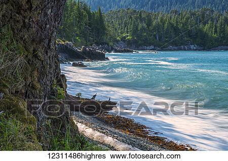 Stock Photograph - The surf pounds the shoreline; Haida Gwaii, British Columbia, Canada. Fotosearch