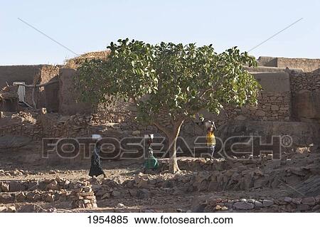 Three people carrying baskets on head in Sangha, Mali View Large Photo Image Stock Photography - Three people carrying baskets on head in Sangha, Mali. Fotosearch