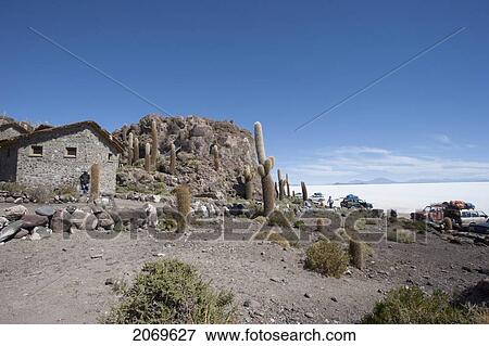 Stock Photo - Tourist Complex And Giant Cacti (Trichocereus Pasacana) On Incahuasi Island (Isla De Pescadores) In The Salar De Uyuni, Potosi Department, Bolivia. Fotosearch