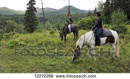 Stock Photo - Tourists on a trail ride with Horse Trekkin Alaska in Far North Bicennentenial Park Anchorage, Southcentral Alaska. Fotosearch