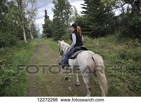 Stock Photograph - Trail guide leads the way in Far North Bicennentenial Park, Anchorage, Southcentral Alaska, Summer. Fotosearch