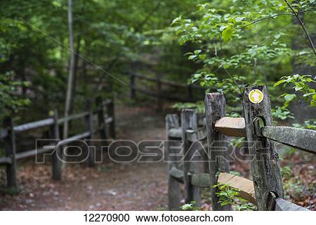 Trail in the Thain Family Forest, New York Botanical Garden; New York City, New York, United States of America View Large Photo Image Stock Image - Trail in the Thain Family Forest, New York Botanical Garden; New York City, New York, United States of America. Fotosearch