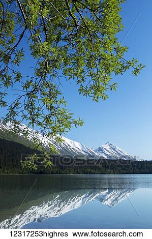 Stock Photograph - Trail Lake, near Moose Pass, South-central Alaska; Alaska, United States of America. Fotosearch