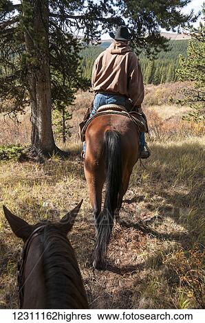 Trail riding, Ya-Ha-Tinda Ranch; Clearwater County, Alberta, Canada View Large Photo Image Stock Photograph - Trail riding, Ya-Ha-Tinda Ranch; Clearwater County, Alberta, Canada. Fotosearch