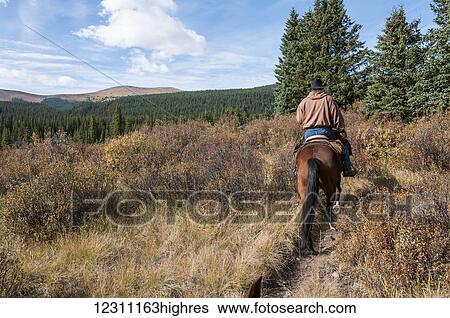 Stock Photograph - Trail riding, Ya-Ha-Tinda Ranch; Clearwater County, Alberta, Canada. Fotosearch