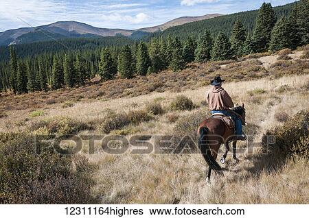 Trail riding, Ya-Ha-Tinda Ranch; Clearwater County, Alberta, Canada View Large Photo Image Stock Photograph - Trail riding, Ya-Ha-Tinda Ranch; Clearwater County, Alberta, Canada. Fotosearch