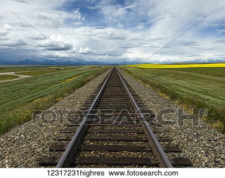 Train tracks between farm fields under a cloudy sky with Canadian Rockies in the distance; Alberta, Canada View Large Photo Image Stock Photograph - Train tracks between farm fields under a cloudy sky with Canadian Rockies in the distance; Alberta, Canada. Fotosearch