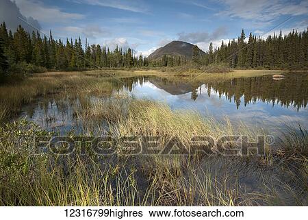 Tranquil lake and Steamboat Mountain; British Columbia, Canada View Large Photo Image Stock Photograph - Tranquil lake and Steamboat Mountain; British Columbia, Canada. Fotosearch