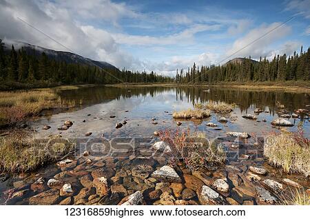 Tranquil pond in Northern British Columbia with a view of Steamboat Mountain behind a forest; British Columbia, Canada View Large Photo Image Stock Photograph - Tranquil pond in Northern British Columbia with a view of Steamboat Mountain behind a forest; British Columbia, Canada. Fotosearch