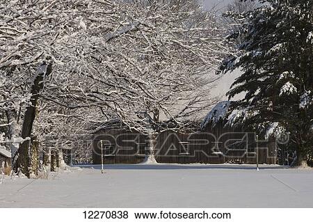 Stock Photo - Trees and yard covered in snow and a wooden barn; Waterloo, Quebec, Canada. Fotosearch