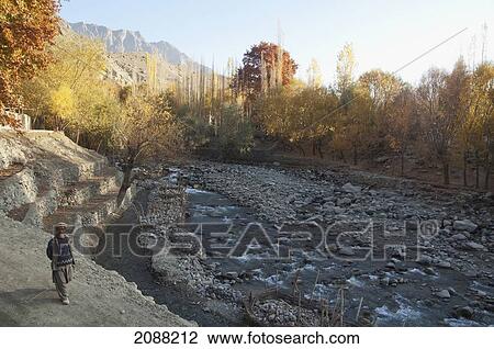 Stock Image - Trees In Fall Colors By The Bauma Lungma Stream, Shigar, Northern Areas, Pakistan. Fotosearch