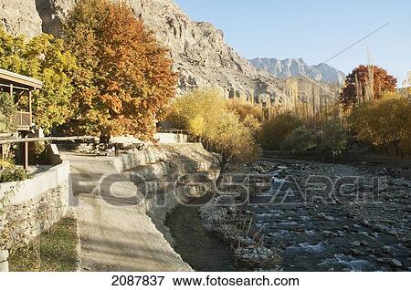Trees In Fall Colors By The Bauma Lungma Stream, Shigar, Northern Areas, Pakistan View Large Photo Image Stock Photo - Trees In Fall Colors By The Bauma Lungma Stream, Shigar, Northern Areas, Pakistan. Fotosearch