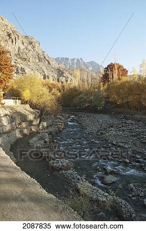 Stock Photography - Trees In Fall Colors By The Bauma Lungma Stream, Shigar, Northern Areas, Pakistan. Fotosearch