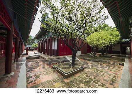 Trees in the courtyard of the Zheng Chenggong (Koxinga) Shrine; Tainan, Taiwan View Large Photo Image Stock Image - Trees in the courtyard of the Zheng Chenggong (Koxinga) Shrine; Tainan, Taiwan. Fotosearch