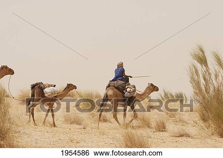 Tuareg camel caravan near Timbuktu, Mali View Large Photo Image Stock Photograph - Tuareg camel caravan near Timbuktu, Mali. Fotosearch